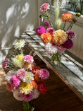 Load image into Gallery viewer, 2 Doz. Dahlia Special