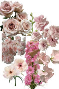 Load image into Gallery viewer, PETITE