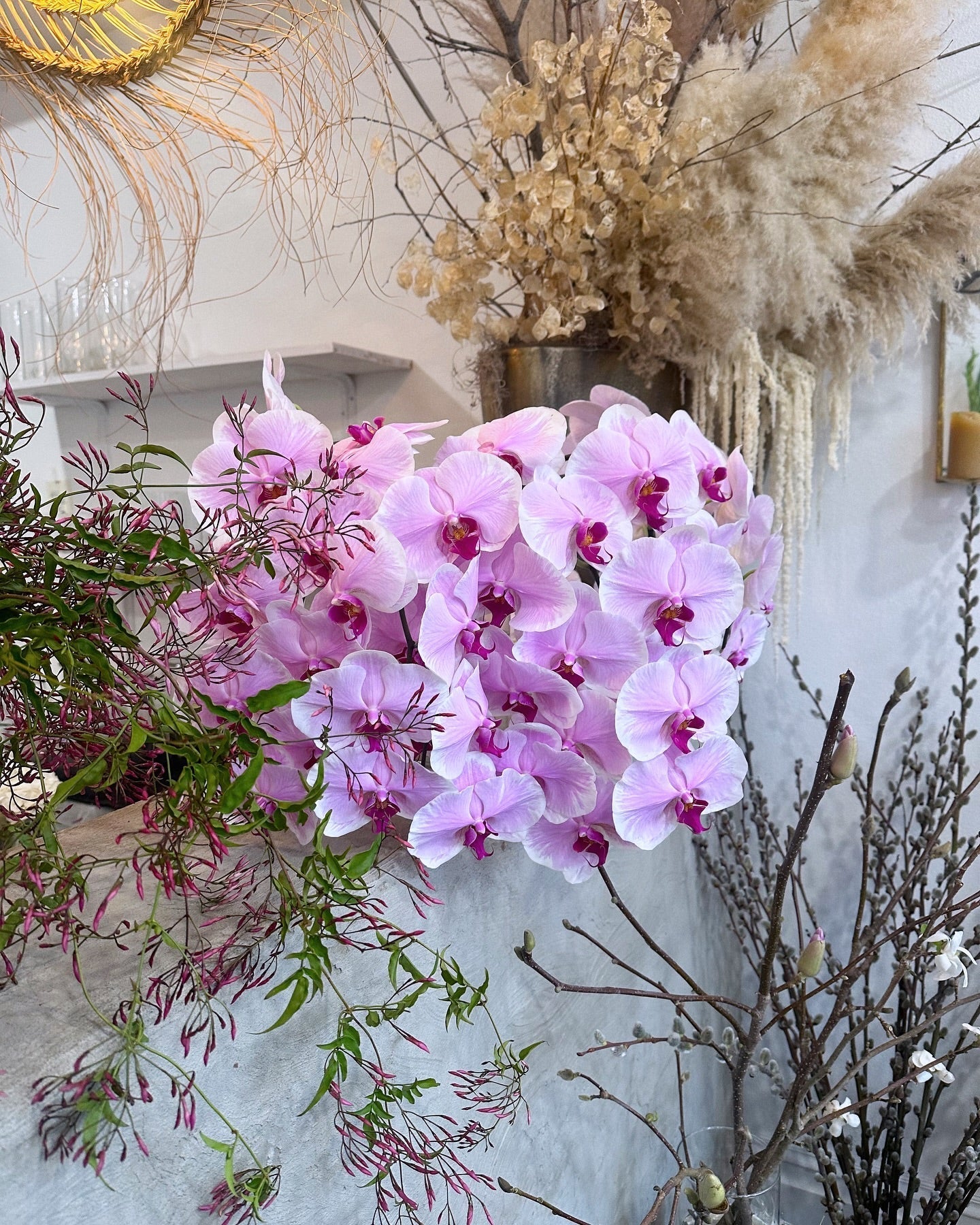 Orchid Care: Elegance That Lasts