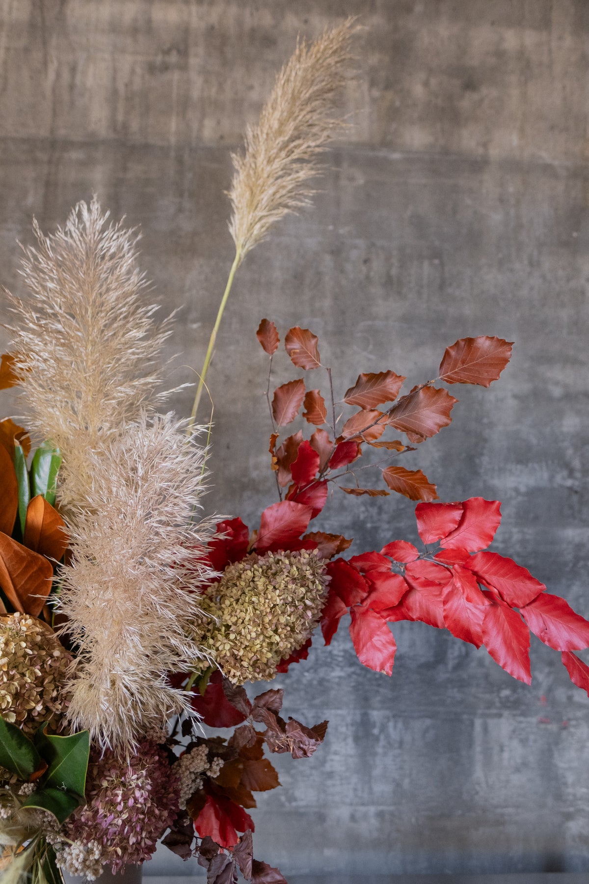 A dried floral arrangement featuring fluffy beige pampas grass, bright red autumn leaves, and muted brown and beige botanicals against a textured gray concrete background.