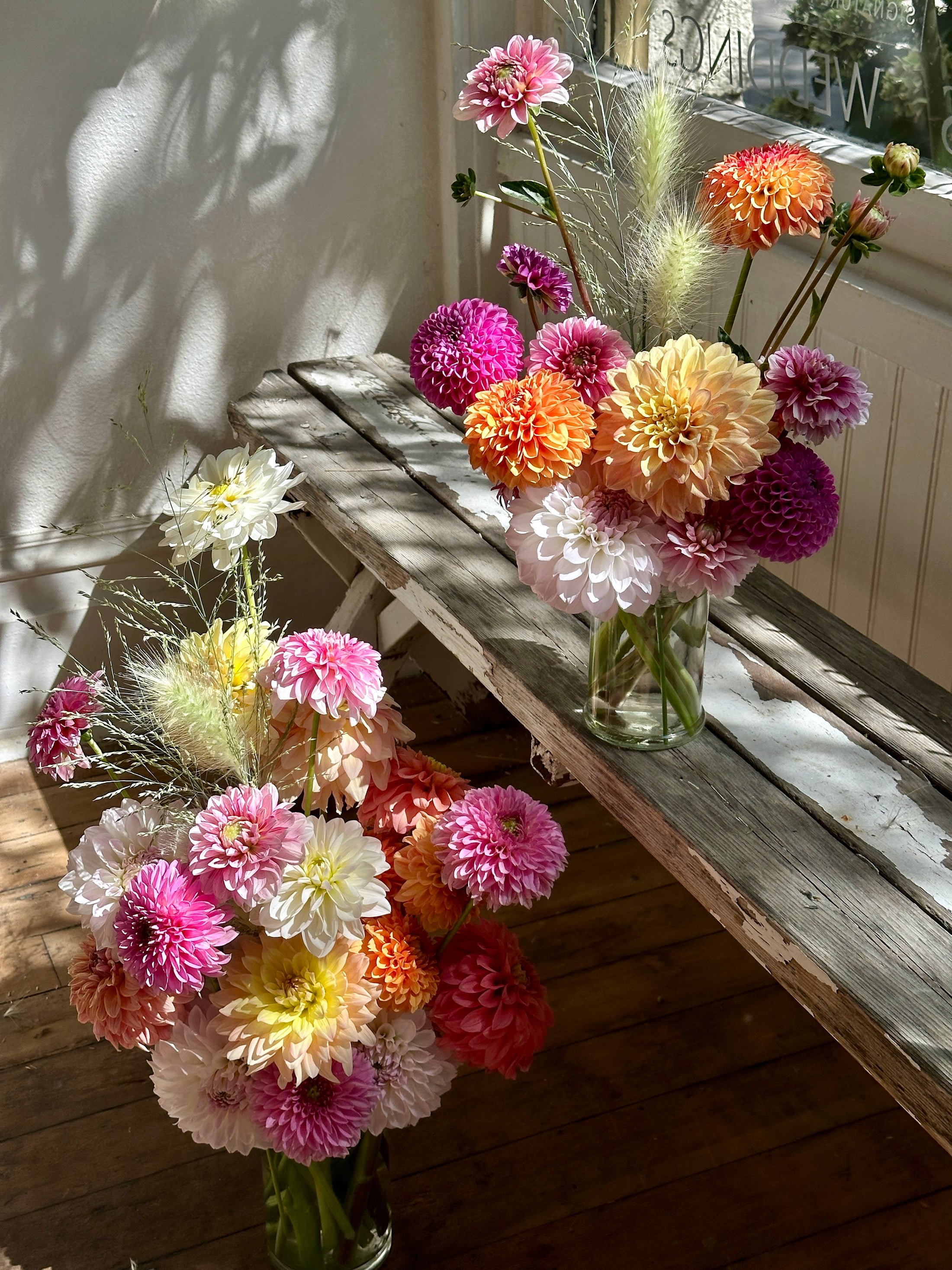 2 Doz. Dahlia Special