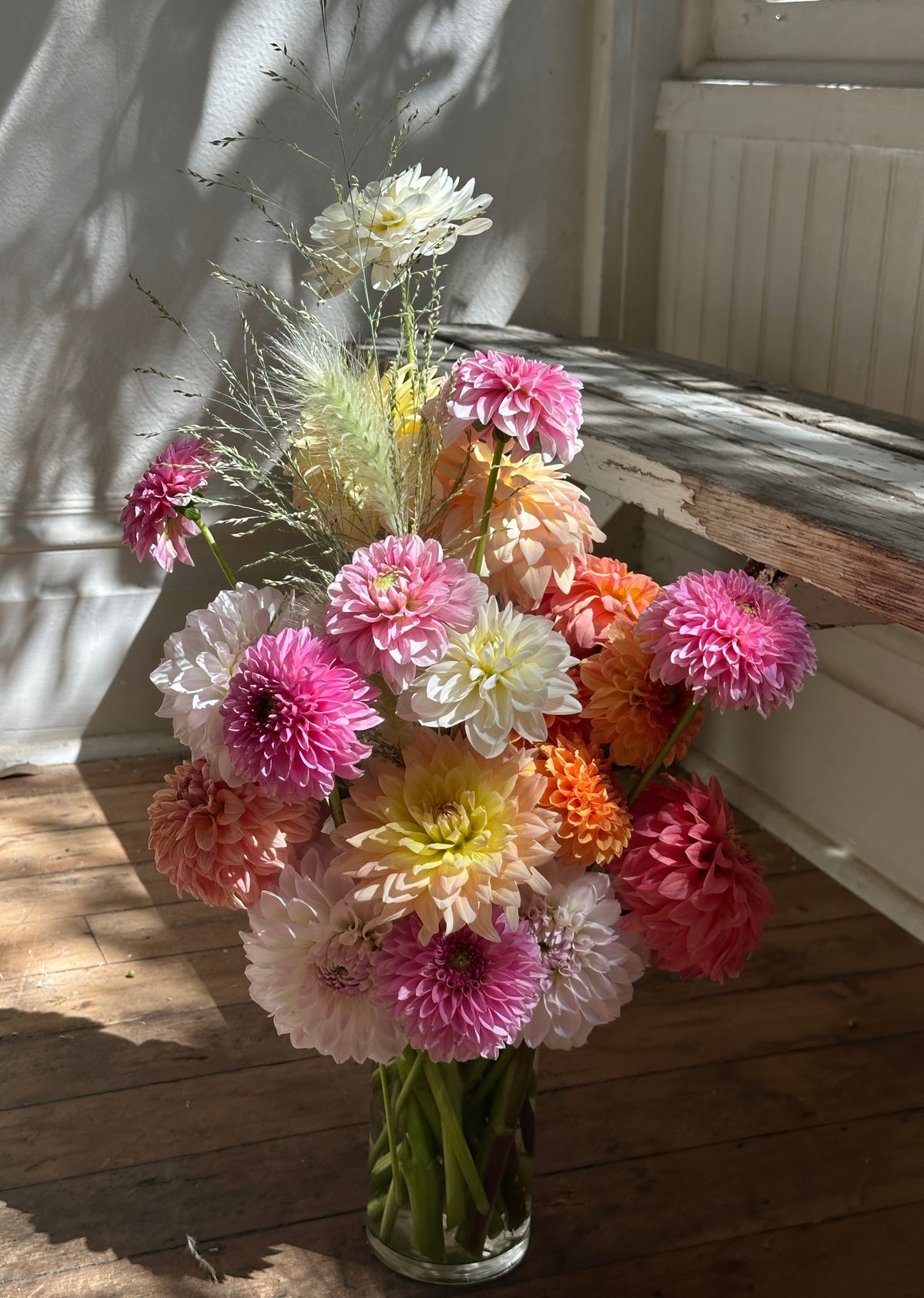 2 Doz. Dahlia Special