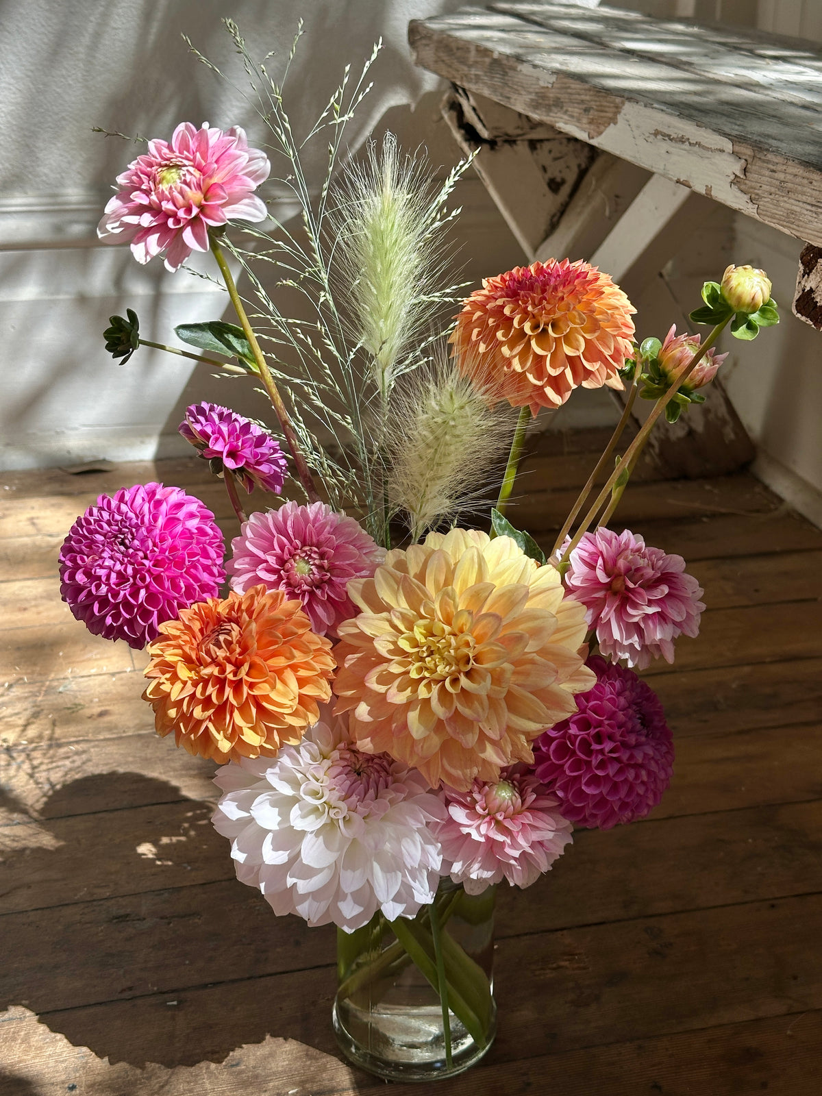 1 Doz. Dahlia Special