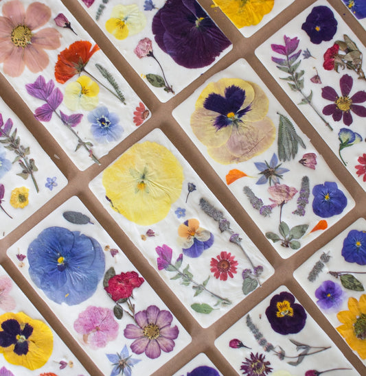 Blossom Bar